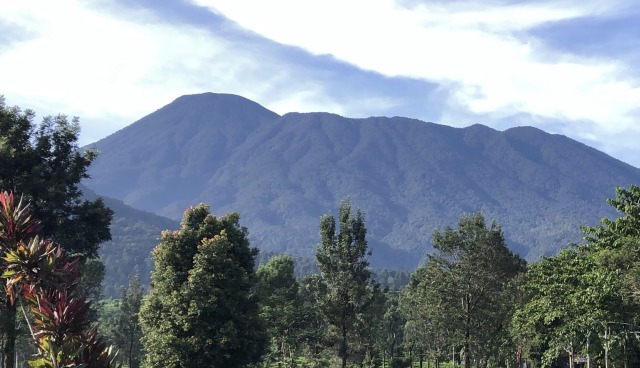 Gunung Gede Pangrango Foto: id.wikipedia.org