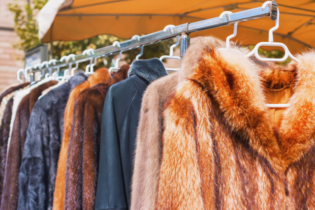 Apa Itu Wardrobe Malfunction Foto: Shutterstock