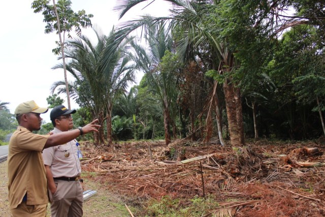 Pihak Kementerian Pertanian melalui Karantina Pertanian Tanjungbalai Karimun  ﻿﻿Melihat ponanaman sagu di Kabupaten Lingga. Foto: Dok. Kementan