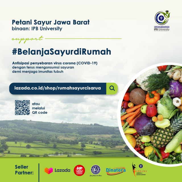 Cara Praktis Belanja Sembako dan Sayuran di E-commerce (7847)