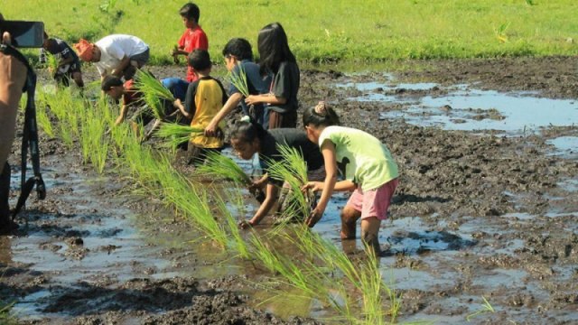Kisah Yaumil Masri, Pemuda Putus Kuliah Pendiri Sekolah Gratis di Sulteng (991)