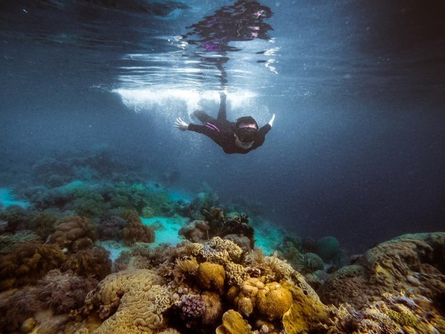 Eroang wisatawan sedang snorkeling menikmati keindahan laut Indonesia Foto: Dok. Kemenparekraf
