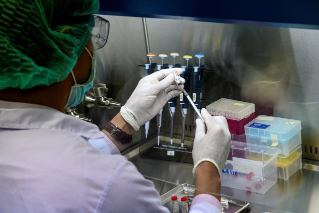 Peneliti mengisi jarum suntik dengan kandidat vaksin virus corona yang siap di uji coba di Pusat Penelitian Primata Thailand Universitas Chulalongkorn. Foto: AFP/Mladen ANTONOV