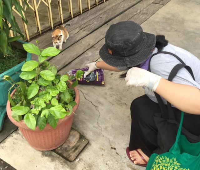 Lani sedang memberi makan kepada kucing liar. | Foto: Dokumentasi Pribadi (Lani).
