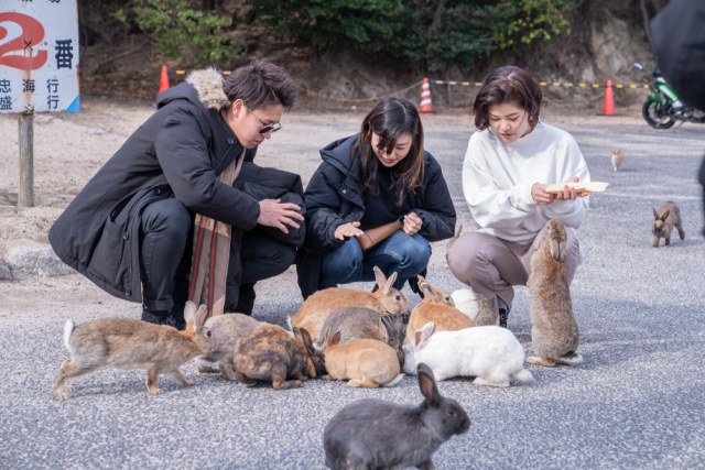 Menilik Okunoshima, Pulau Jepang Dihuni Kelinci