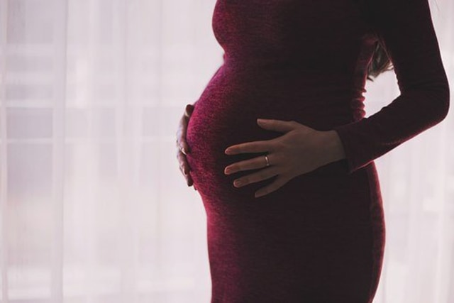 Ilustrasi kehamilan seorang wanita, dok: pixabay