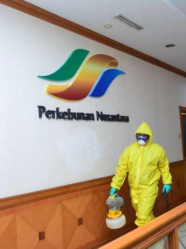 Ilustrasi PTPN III. Foto: Facebook/PT Perkebunan Nusantara III - Persero