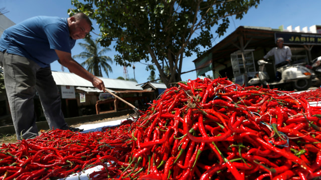 Pekerja menjemur cabai untuk diolah menjadi cabai merah kering di Lambaro, Aceh Besar, Aceh, Kamis (28/5). Foto: ANTARA FOTO/Irwansyah Putra