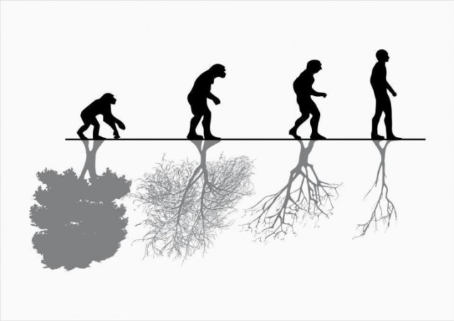 Foto: Dimitriosaidonis, Human Nature vs Evolution