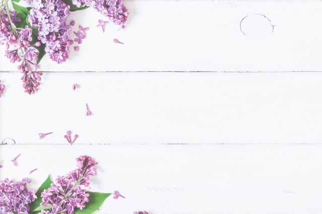 Ilustrasi warna pastel dan bunga lilac. Foto: Shutter Stock