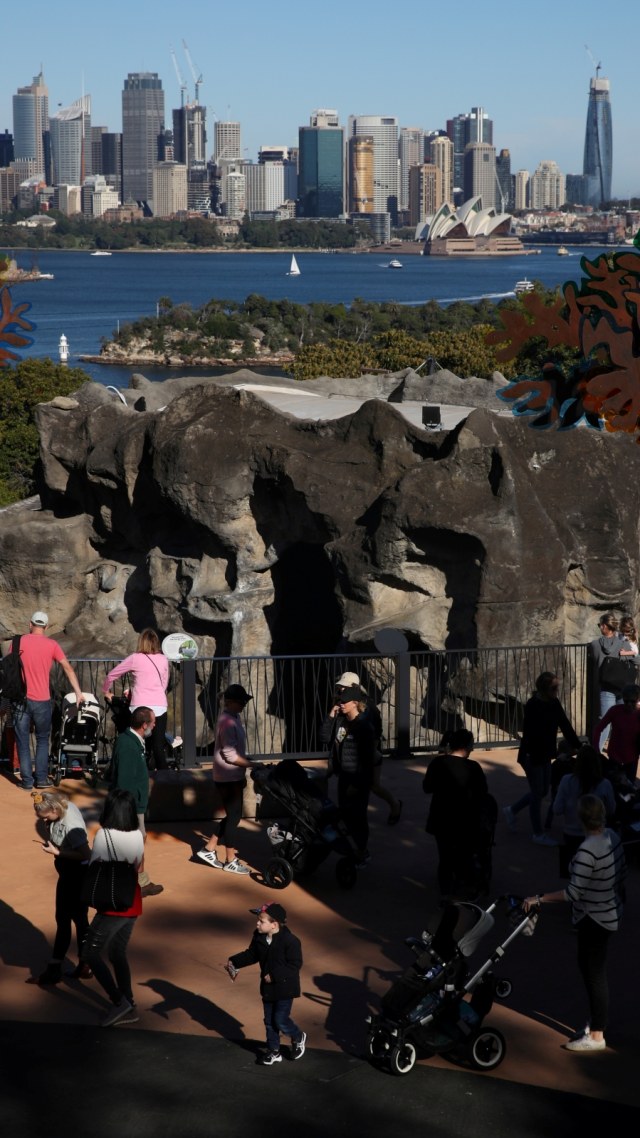 Suasana di Kebun Binatang Taronga, Sydney, Australia, Senin (1/6). Foto: REUTERS/Loren Elliott