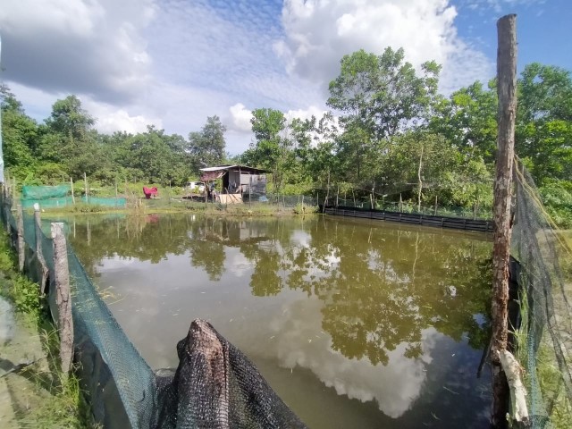 WhatsApp Image 2020-06-01 at 18.37.18 (2).jpeg
