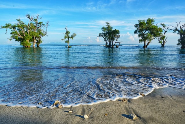 Foto: Menjemput New Normal, Larut Dalam Pesona Pantai Blang Ulam di Aceh Besar (118938)