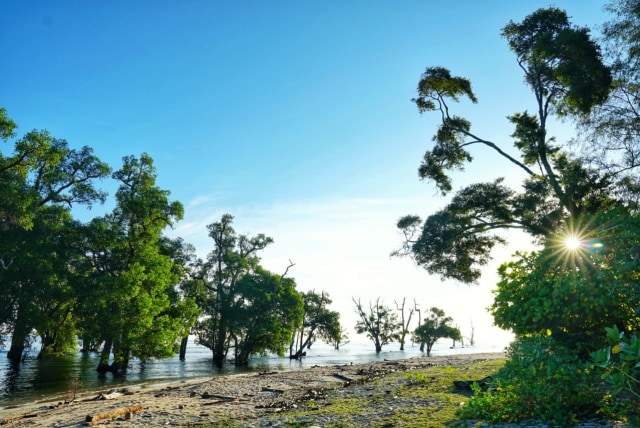 Foto: Menjemput New Normal, Larut Dalam Pesona Pantai Blang Ulam di Aceh Besar (118939)