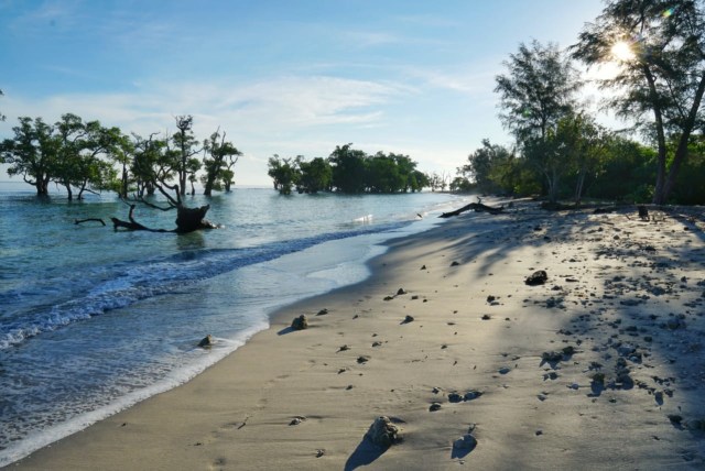 Foto: Menjemput New Normal, Larut Dalam Pesona Pantai Blang Ulam di Aceh Besar (118940)