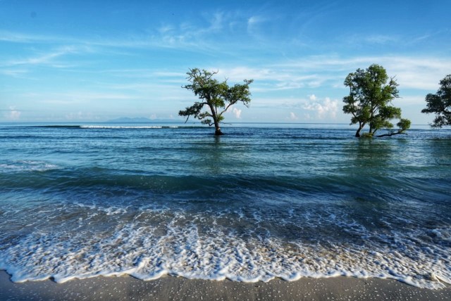 Foto: Menjemput New Normal, Larut Dalam Pesona Pantai Blang Ulam di Aceh Besar (118941)