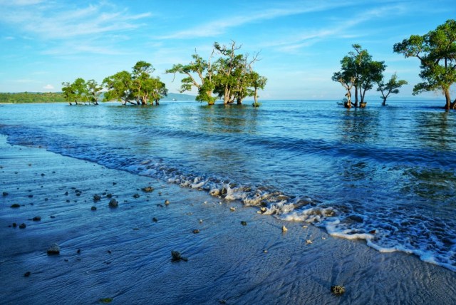 Foto: Menjemput New Normal, Larut Dalam Pesona Pantai Blang Ulam di Aceh Besar (118942)