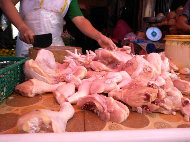 Harga Ayam Di Medan Capai Rp 42 Ribu Stok Didatangkan Dari Pekanbaru Kumparan Com