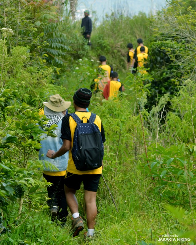 Trekking Perbukitan Dusun Kopi di Garut, Jawa Barat (38633)