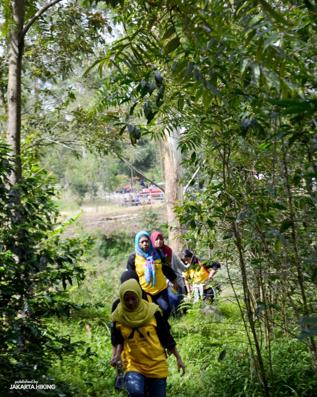 Trekking Perbukitan Dusun Kopi di Garut, Jawa Barat (38636)