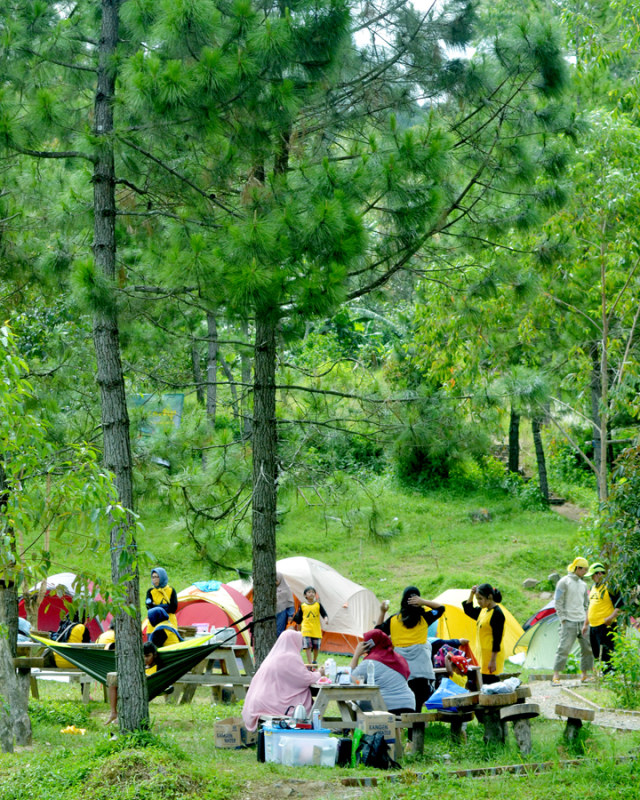 Trekking Perbukitan Dusun Kopi di Garut, Jawa Barat (38640)