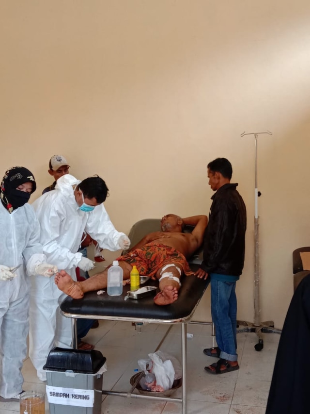 Ngeri, Warga Bengkalis Diterkam Harimau dari Belakang saat Deres Karet (122288)