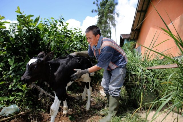 Upaya Tingkatkan Konsumsi Susu di Indonesia Demi Penuhi Kebutuhan Protein Anak (28739)