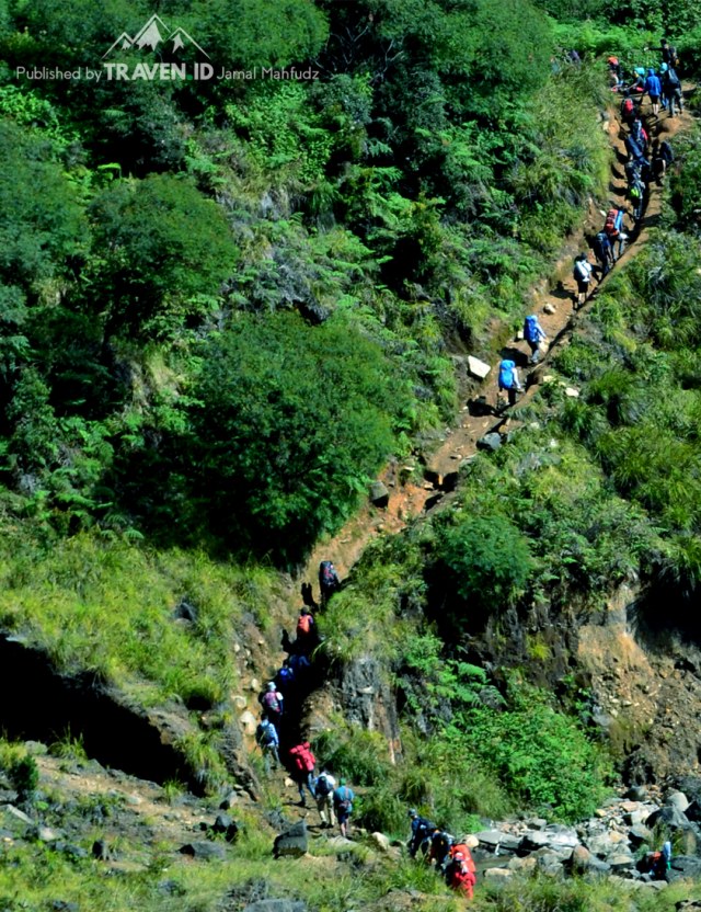Menikmati Pendakian Gunung Papandayan di Garut (10535)