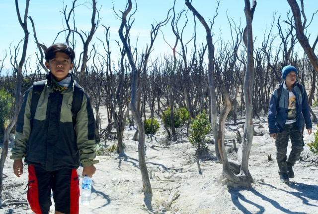 Menikmati Pendakian Gunung Papandayan di Garut (10539)