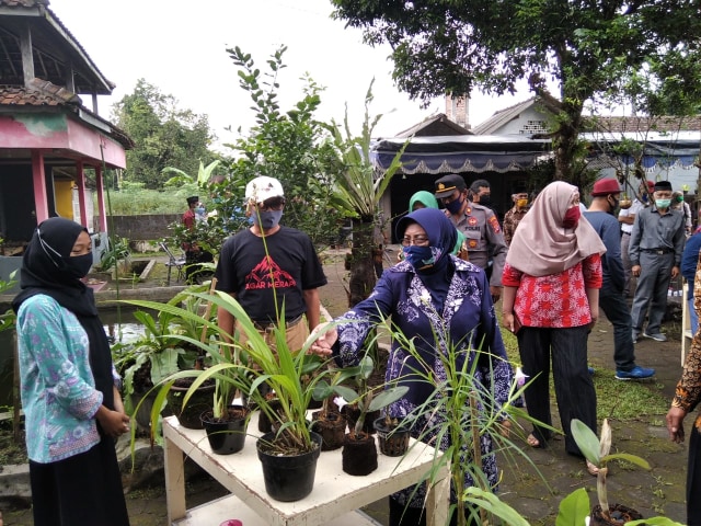 Wakil Bupati Sleman, Sri Muslimatun, saat berkunjung ke Desa Ngipiksari RT 01 RW 12, Hargobinangun, Sleman, Minggu (7/6/2020). Foto: Birgita.