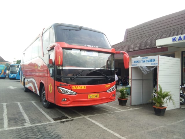 Bus AKAP Damri yang akan berangkat dari loket Damri Cabang Lampung, Senin (8/6) | Foto: Obbie Fernando/Lampung Geh