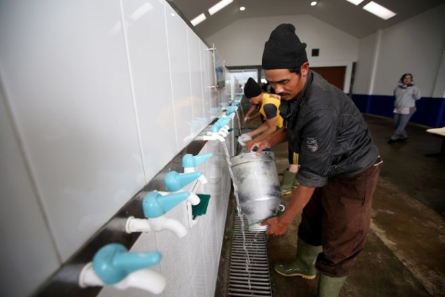 Kebaikan Susu hingga Kelestarian Lingkungan melalui Efisiensi Hulu ke Hilir (592931)