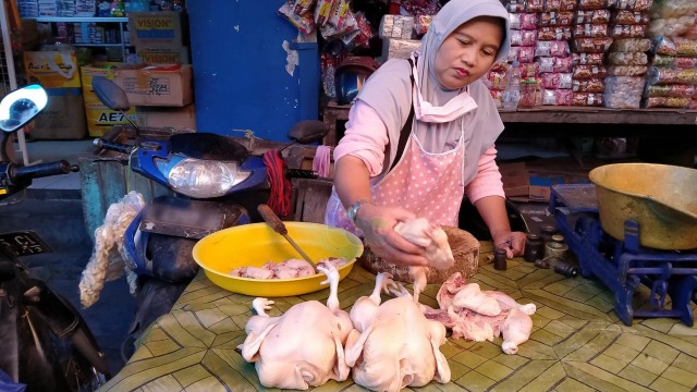 Salah seorang pedagang ayam di Pasar Desa Sumberrejo Bojonegoro. Sabtu (13/06/2020)
