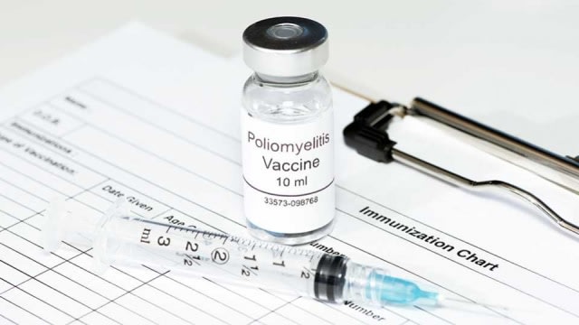 Ilustrasi vaksin polio. Foto: Shutterstock