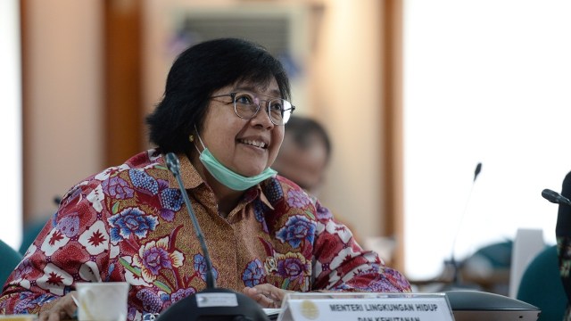Menteri LHK: Alhamdulillah Fase Kritis I Karhutla Terlewati (30382)