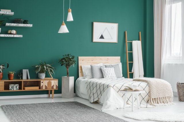 Dekorasi cat warna hijau Foto: Shutterstock 
