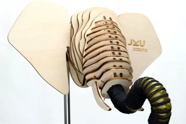 Robot berbentuk belalai gajah ini terbuat dari material yang bisa dimakan oleh manusia. Foto: Soft Materials Lab/JKU Linz
