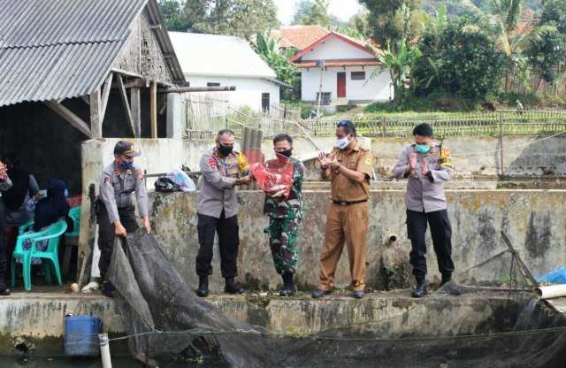 Perkuat Ketahanan Pangan, TNI-Polri Bina Petani Di Kuningan, Jawa Barat ...