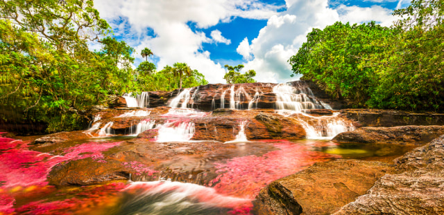 Menilik Cano Cristales, Sungai Terindah di Dunia yang Mirip Pelangi (21538)