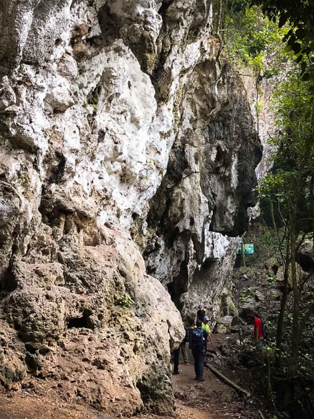 Foto: Kawasan Bukit Karst di Bogor Terancam Rusak karena ...