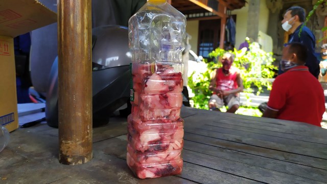 Daging  paus yang telah dimasukkan ke dalam botol untuk kemudian diproses menjadi minyak obat - ACH