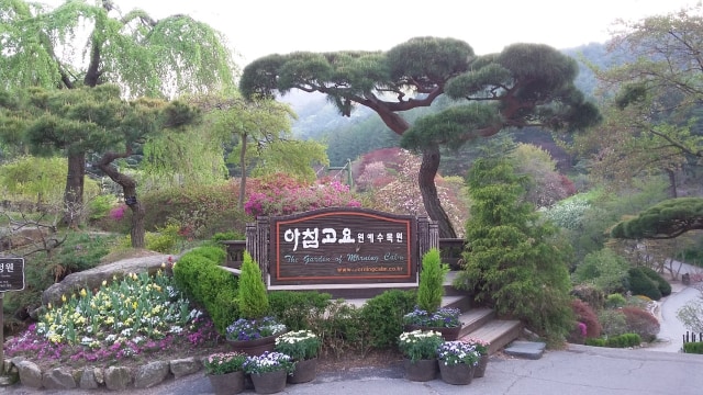 Keindahan morning calm garden di Korea Selatan. Foto: Khiththati/aceh