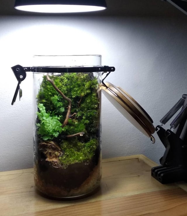 Terrarium. Foto: Dok Amirul Hakki