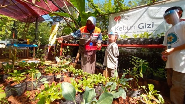 Pengunjung Kebun Gizi Tegalurung Indramayu, Jawa Barat, dikenalkan beragam jenis tanaman pangan dan sayuran. (Ciremaitoday)