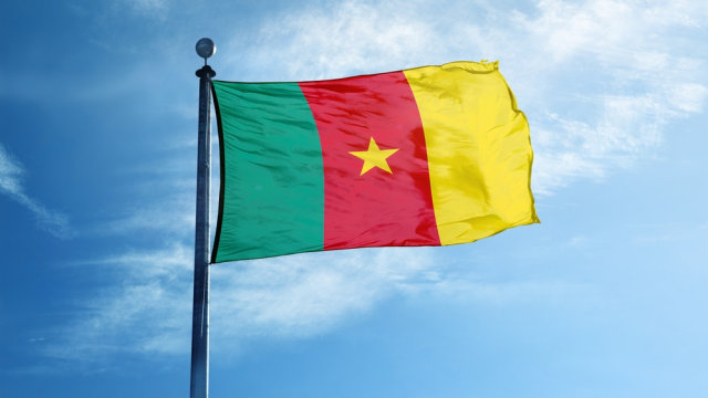 Bendera Kamerun. Foto: Shutter Stock