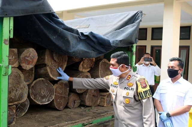 Kapolres Majalengka AKBP Bismo Teguh Prakoso menunjukkan barang bukti kayu sonokeling yang disita dari para pelaku illegal logging. (Oki Kurniawan)