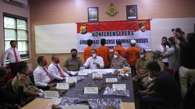 Konferensi pers sindikat perdagangan kulit harimau sumatera. Foto: Polda Aceh