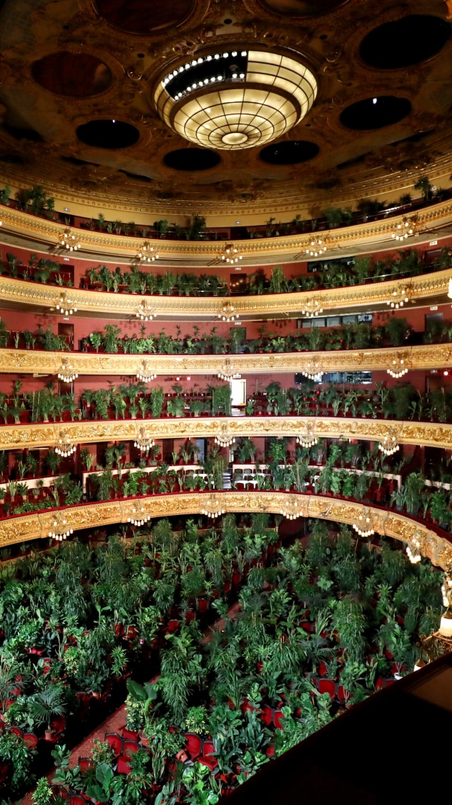 Sejumlah tanaman memenuhi tribun penonton ketika opera Gran Teatre del Liceu Barcelona dibuka kembali, di Barcelona, Spanyol. Foto: Nacho Doce/REUTERS