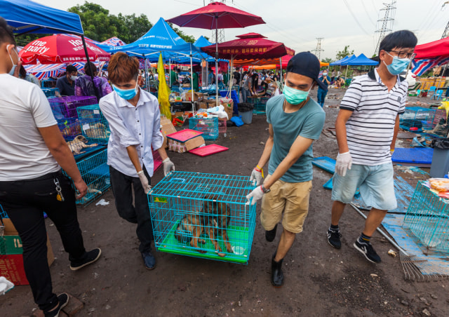 Festival daging anjing di Yulin, China Foto: Shutterstock 