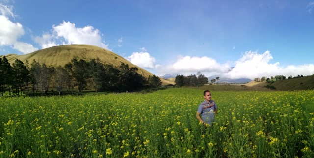 Ranu Manduro Hingga Ladang Sawi, Tempat yang Viral karena Mirip di Luar Negeri (4)